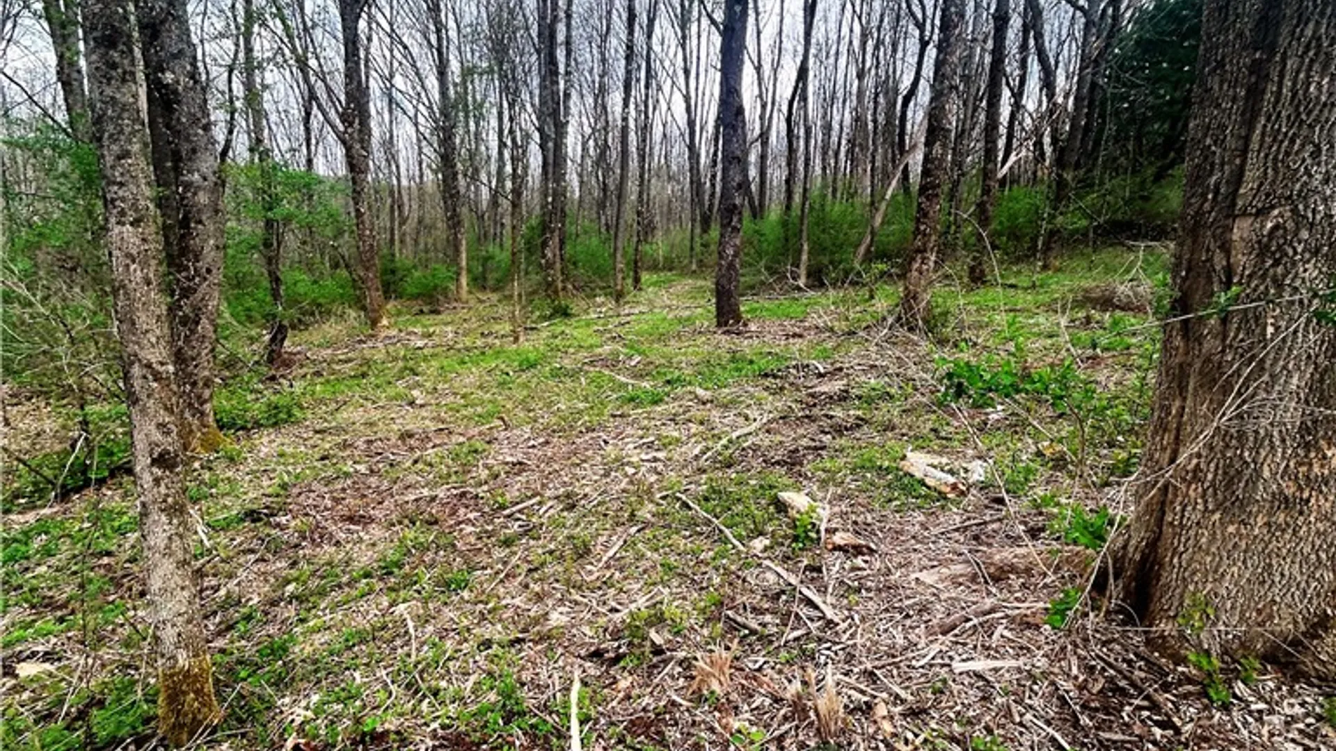 Property at 0 Sisson Hill Road, Unadilla, NY 13849 4