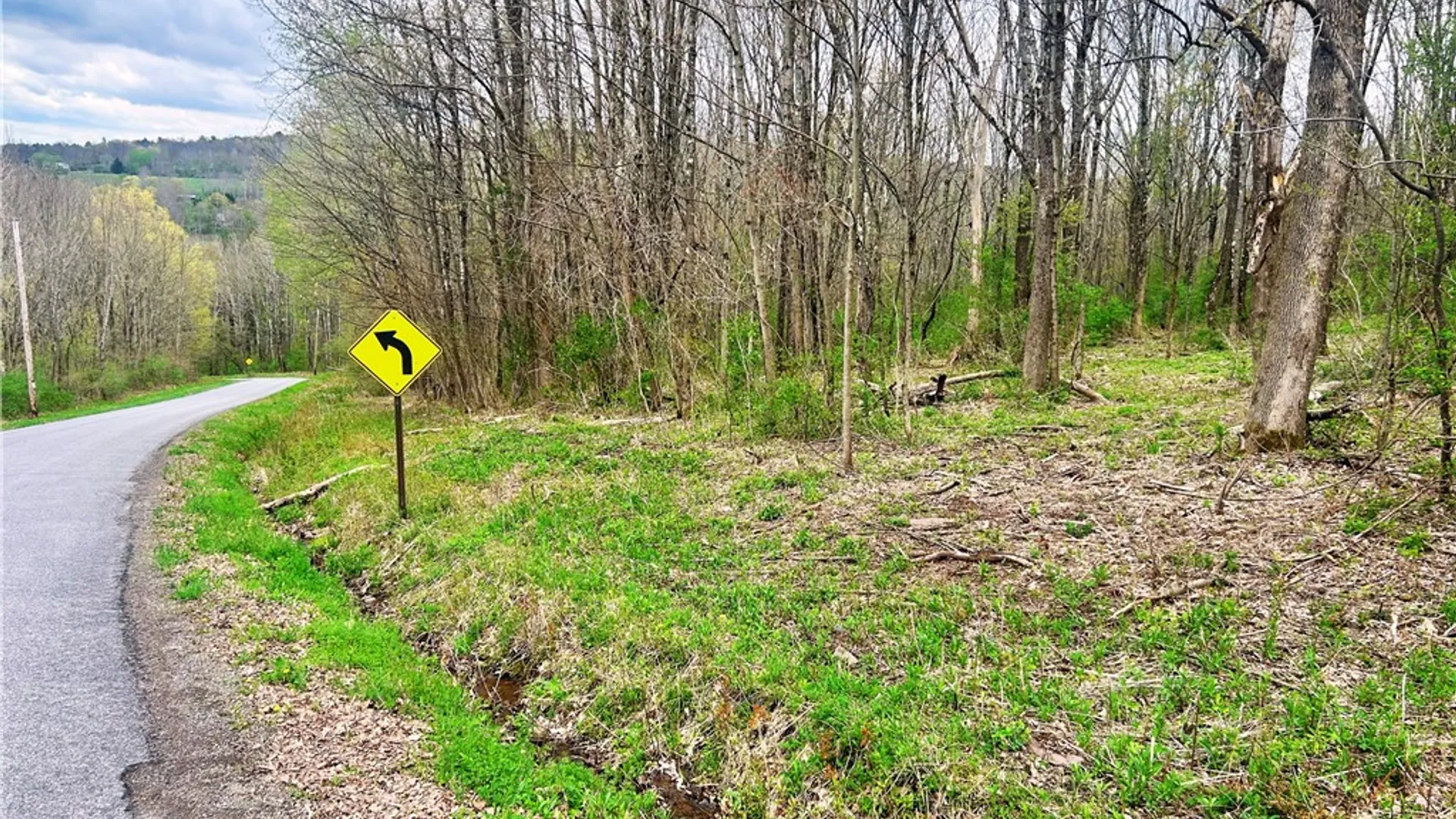 Property at 0 Sisson Hill Road, Unadilla, NY 13849 5