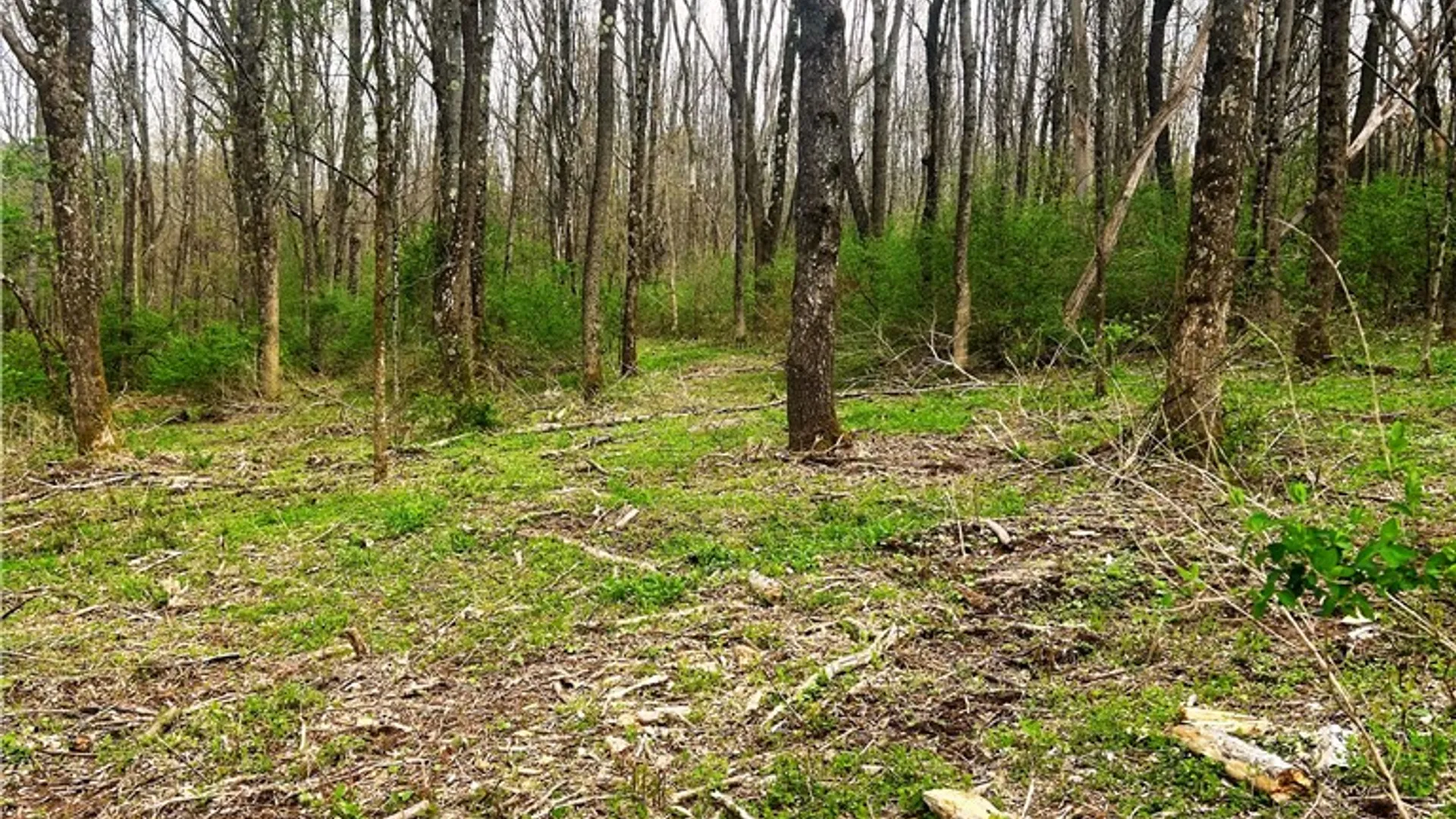 Property at 0 Sisson Hill Road, Unadilla, NY 13849 8