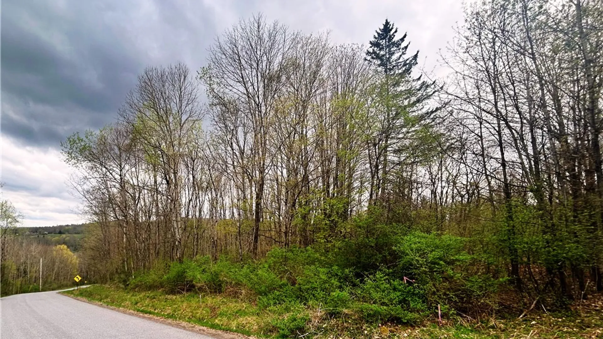 Property at 0 Sisson Hill Road, Unadilla, NY 13849 9