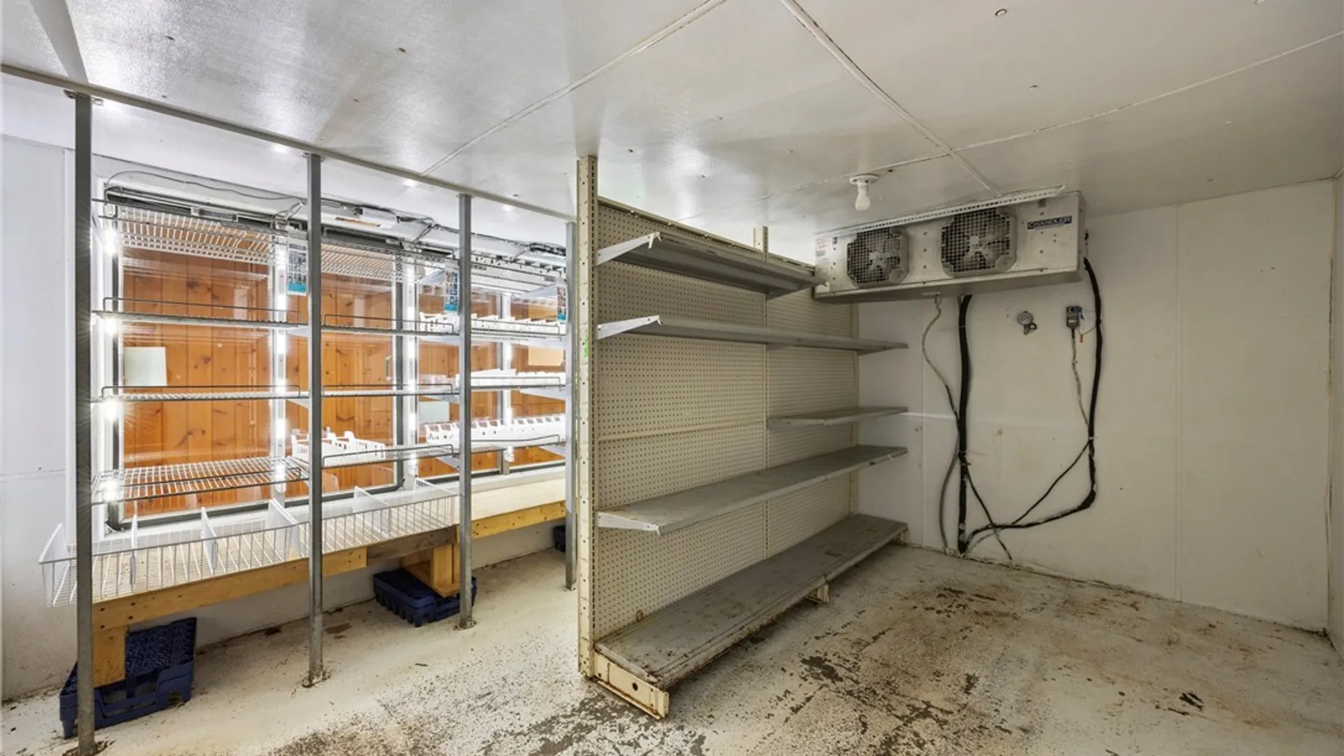 Property at 8796 State Road, Colden, NY 14033 13