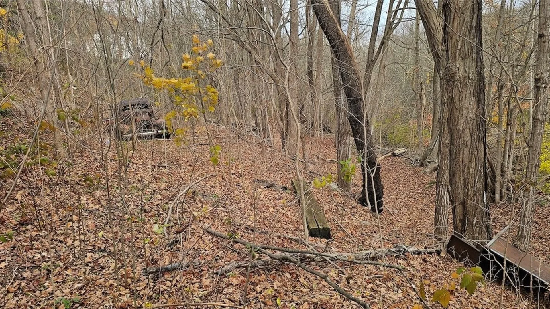 Property at 3636 Mill Street, Tyrone, NY 14870 11