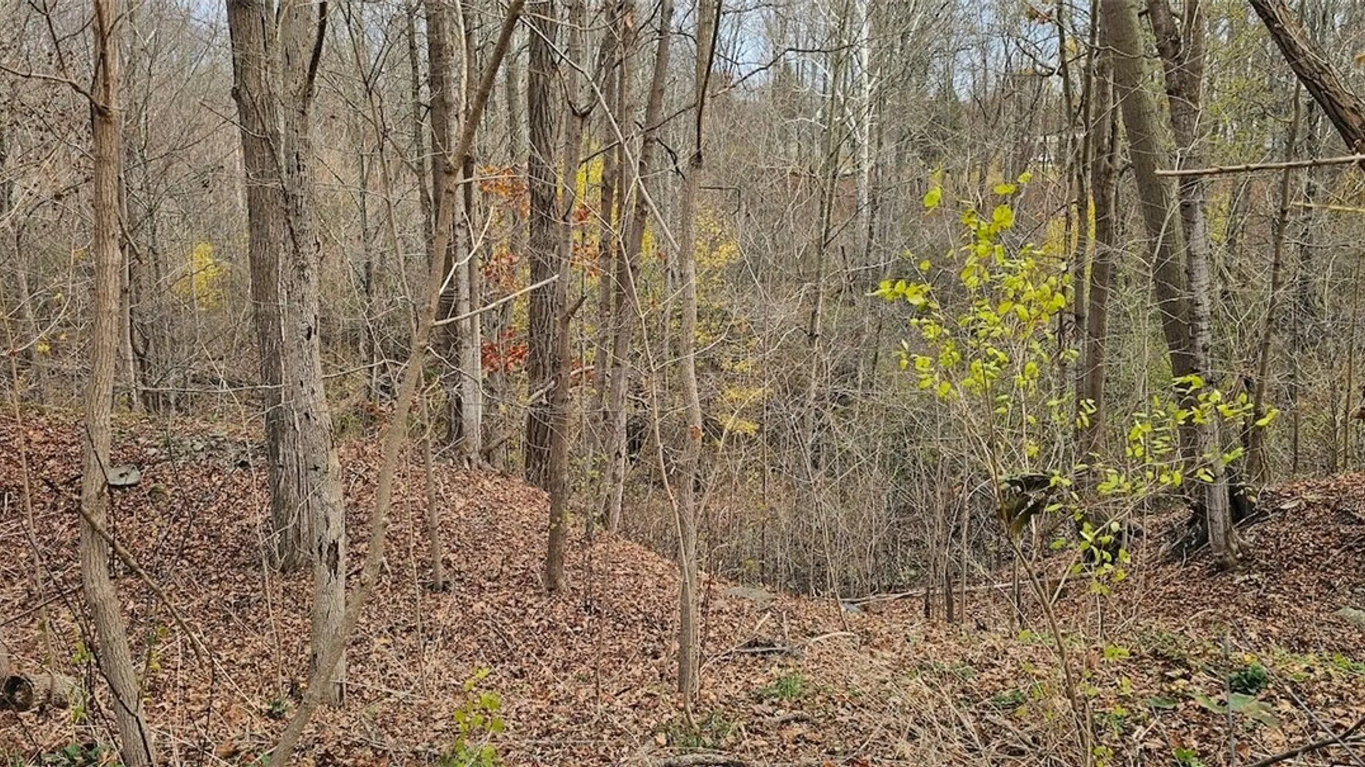 Property at 3636 Mill Street, Tyrone, NY 14870 13