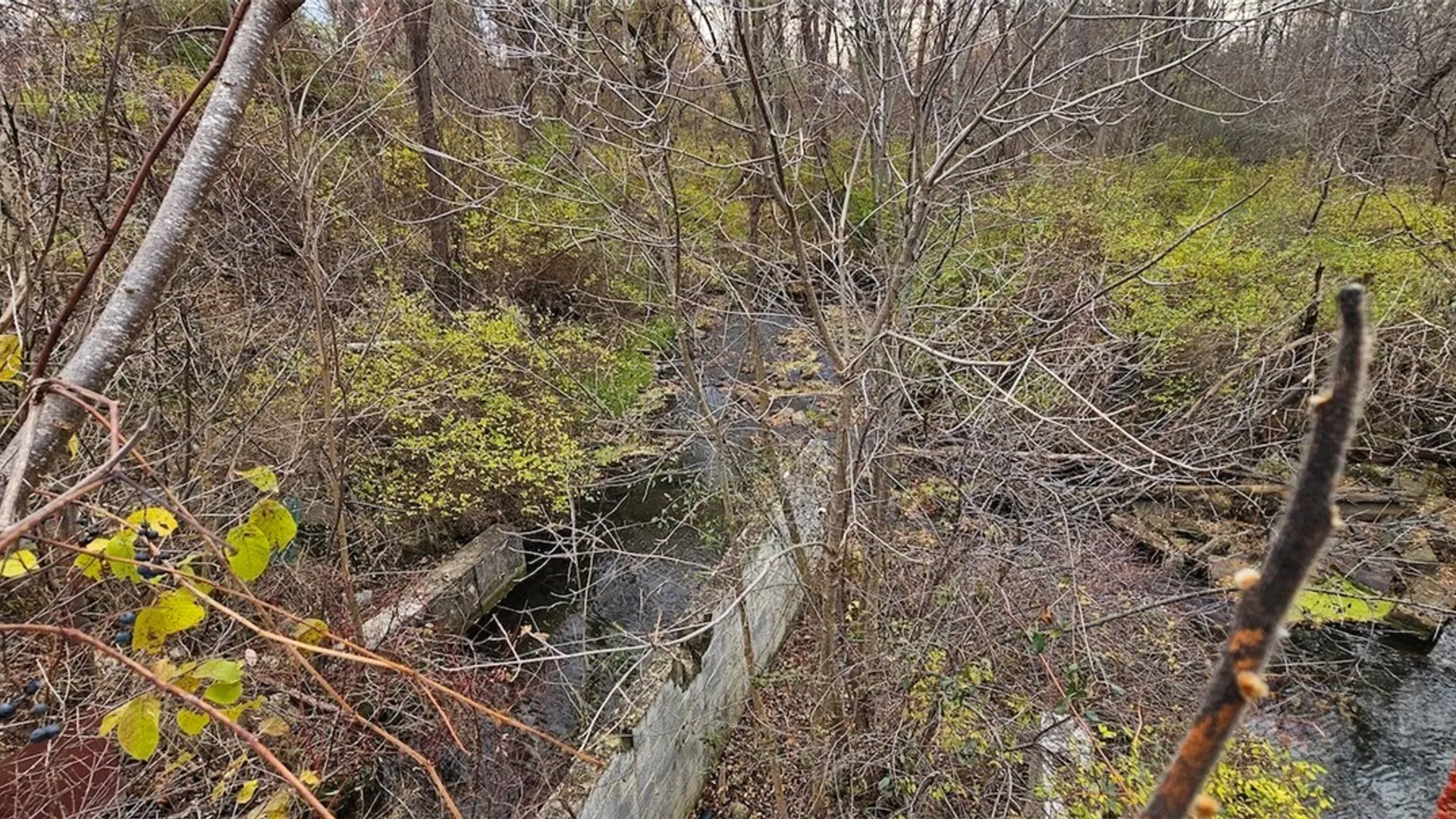 Property at 3636 Mill Street, Tyrone, NY 14870 20