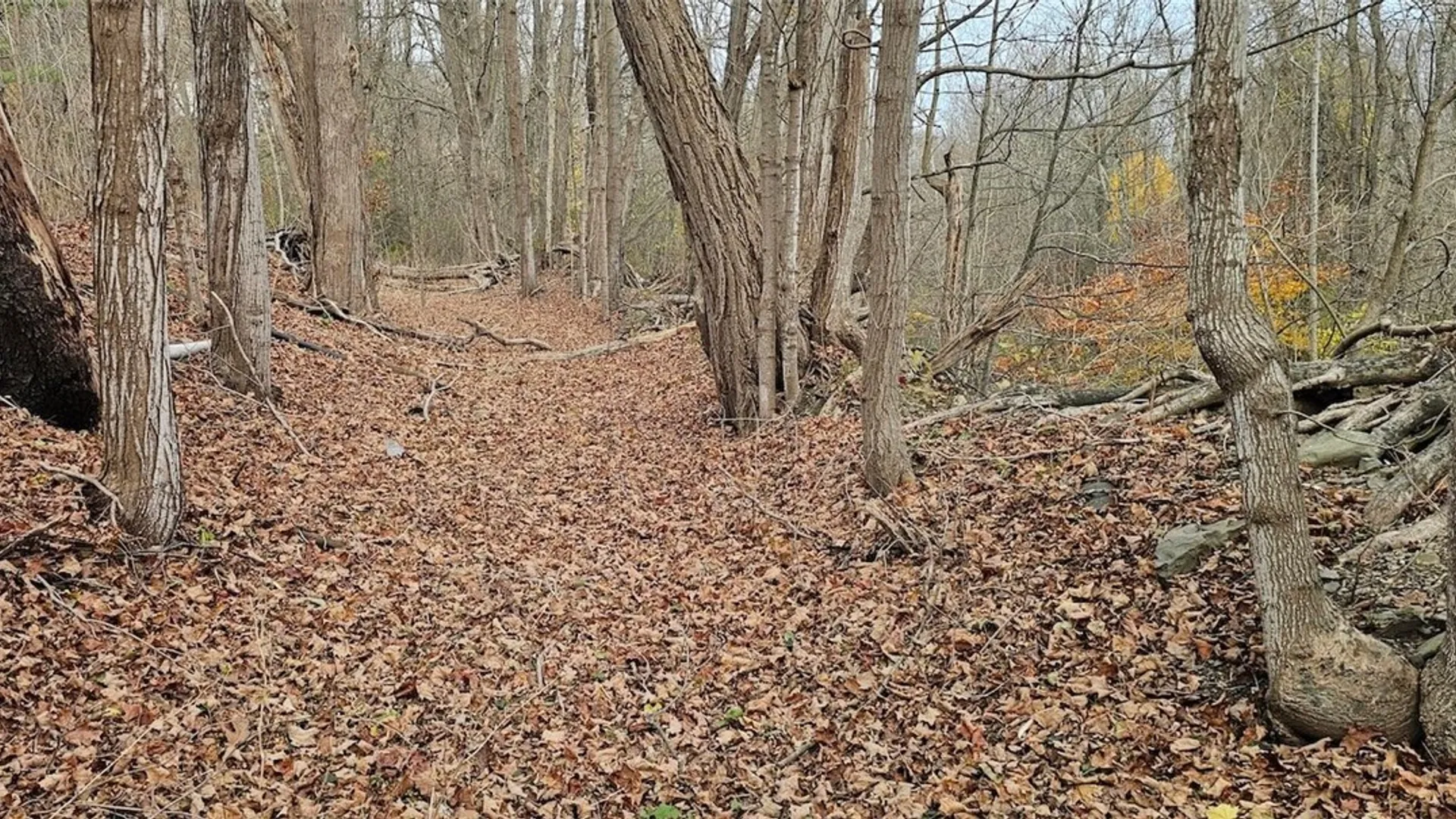 Property at 3636 Mill Street, Tyrone, NY 14870 6