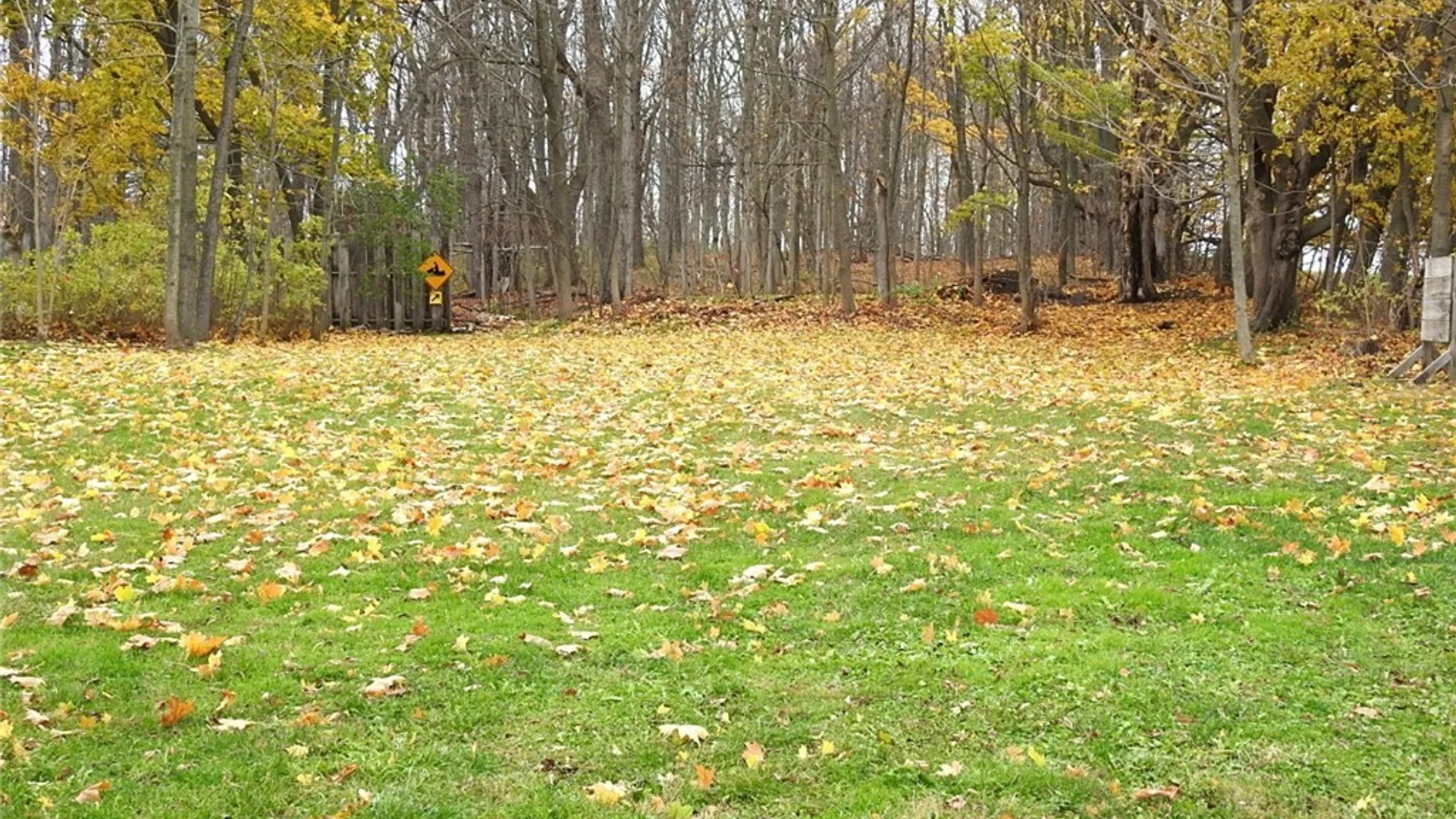 Property at 7701 State Street, Lowville, NY 13367 29