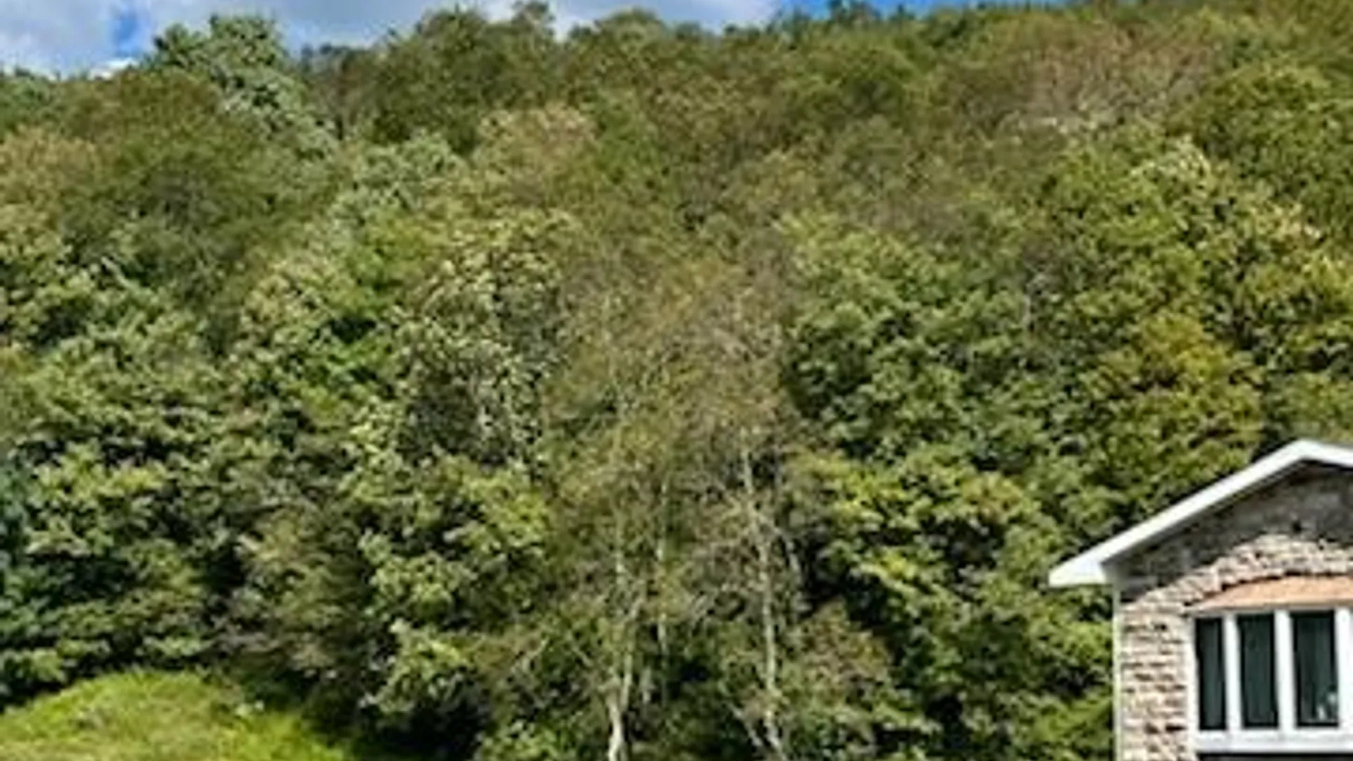 Property at 4088 County Highway 22, Walton, NY 13856 3