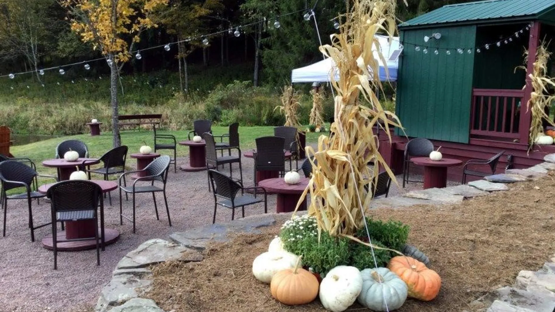 Property at 304 Sutherland Road #2, Meredith, NY 13757 50