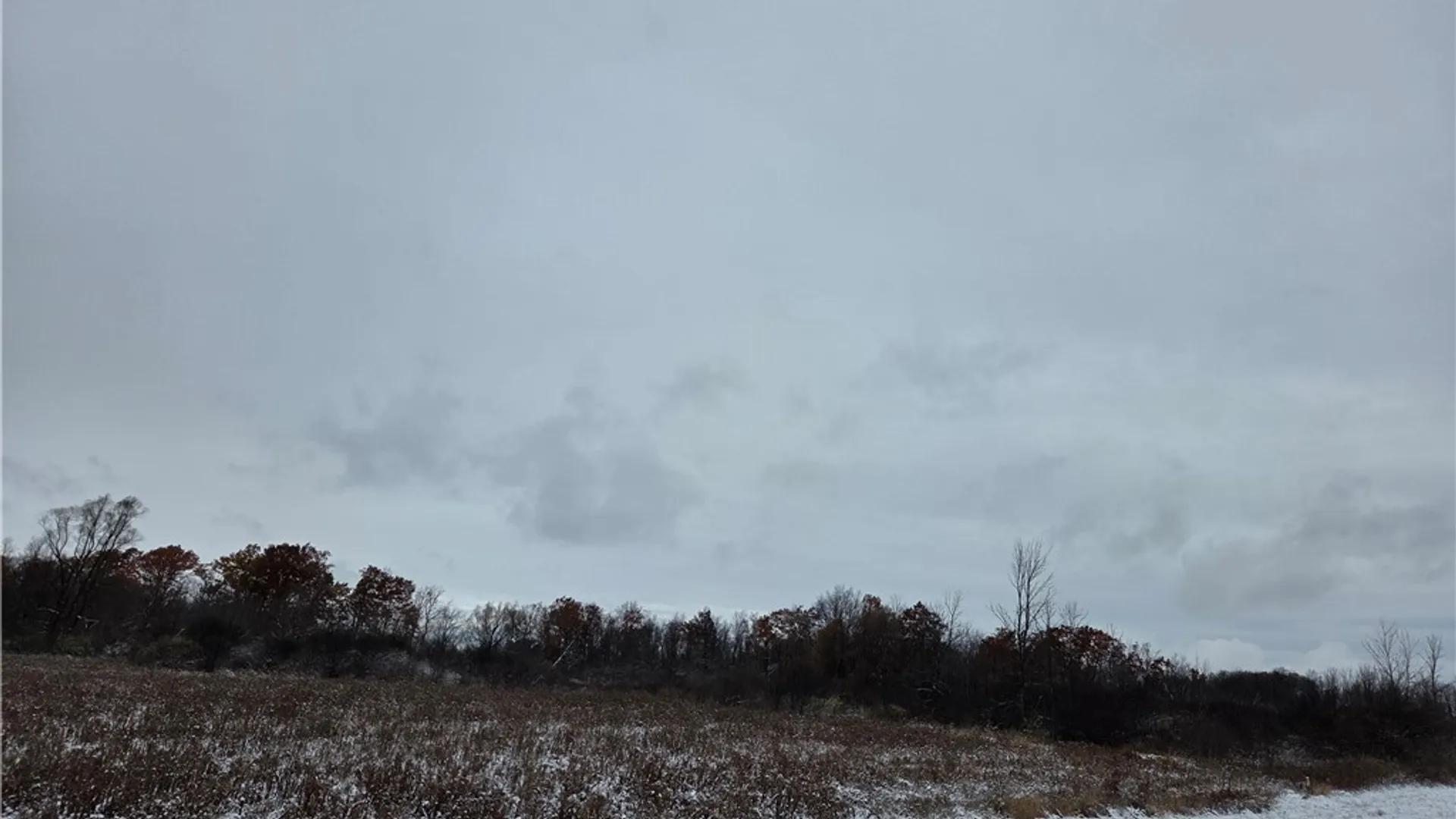 Property at North Road, Geneseo, NY 14454 3