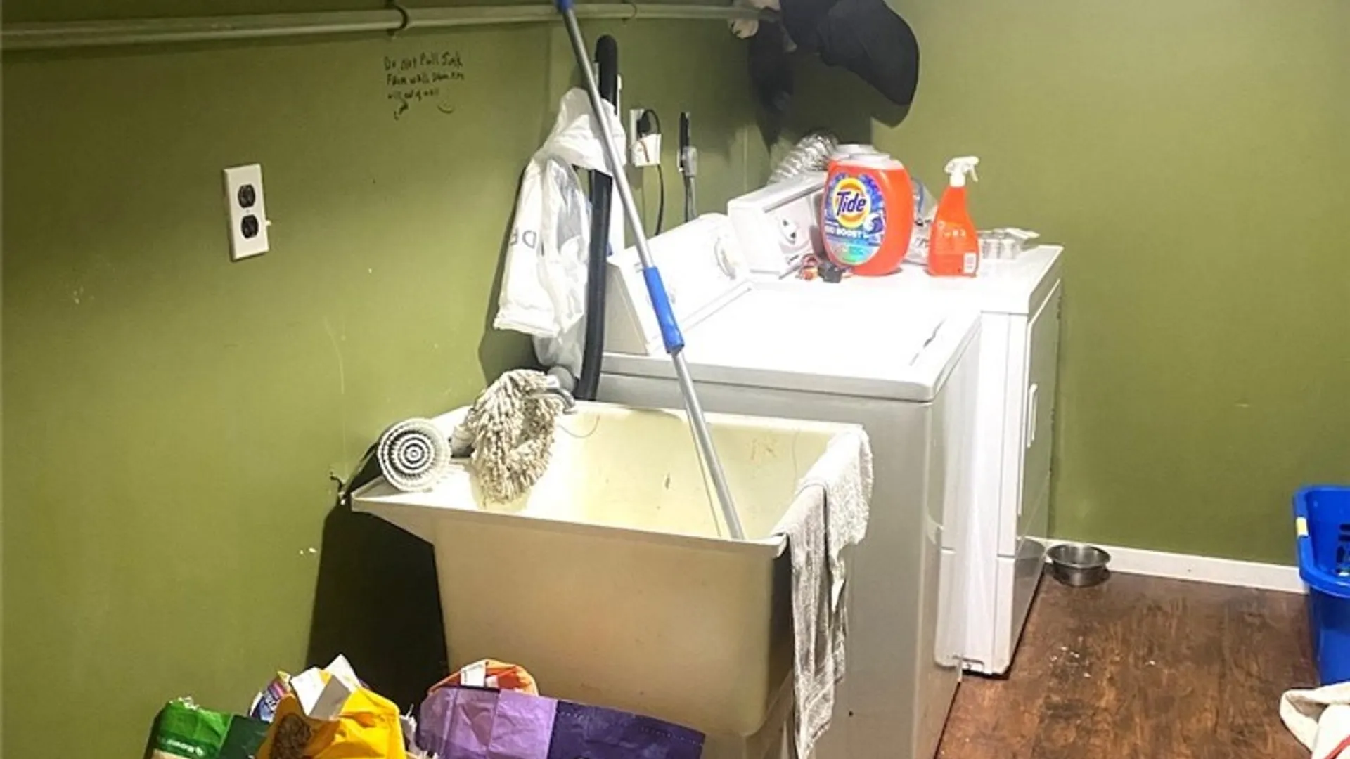 Property at 5601 Pigtail Road, Friendship, NY 14739 22