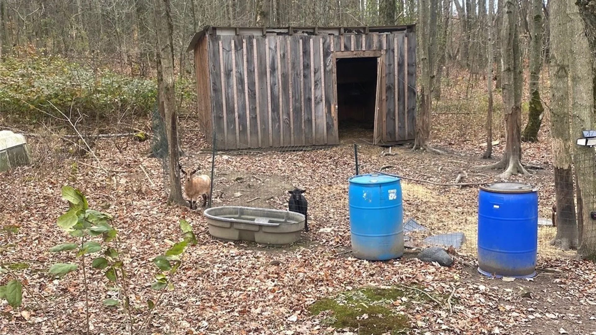 Property at 5601 Pigtail Road, Friendship, NY 14739 24