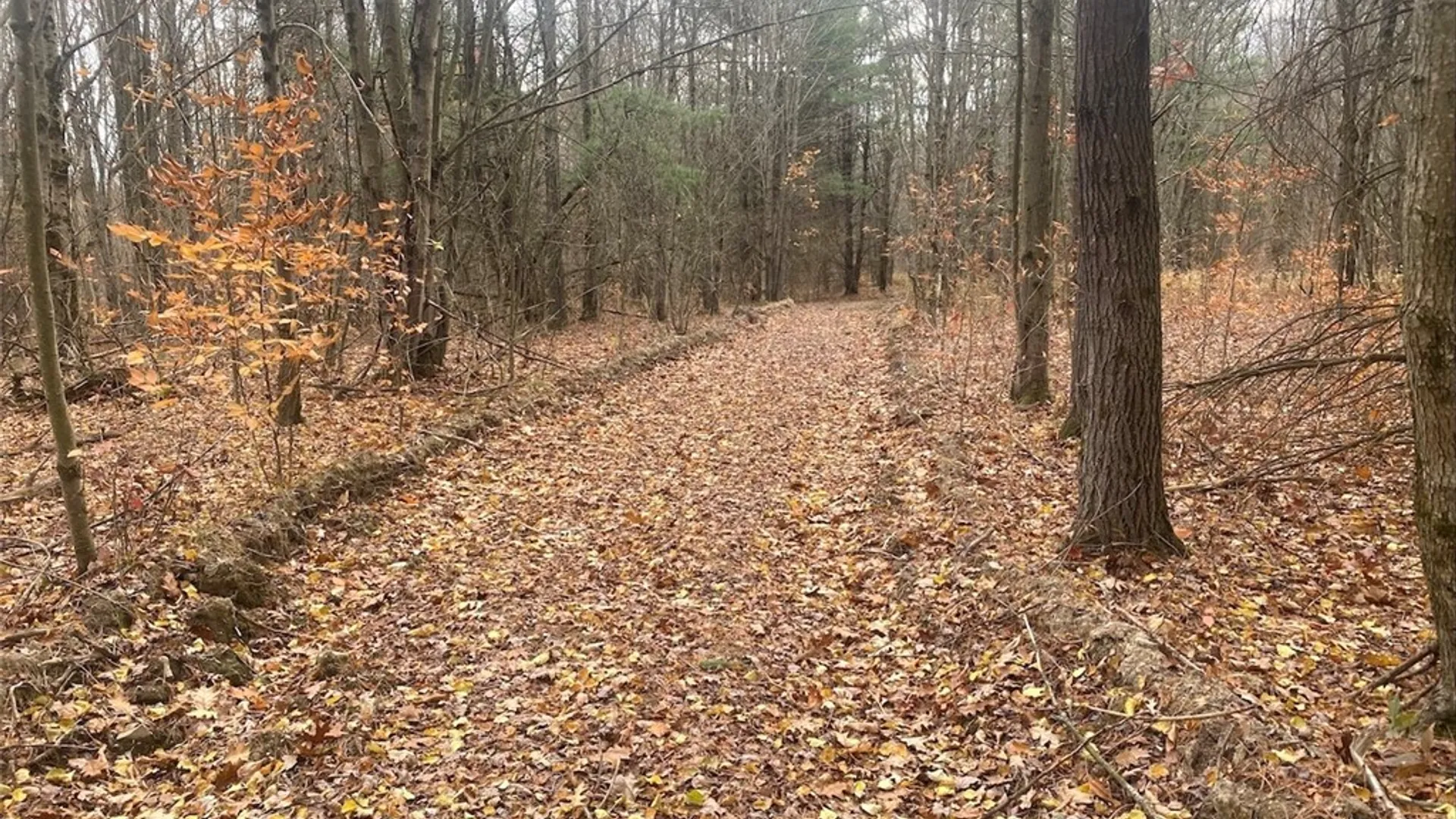 Property at 5601 Pigtail Road, Friendship, NY 14739 26