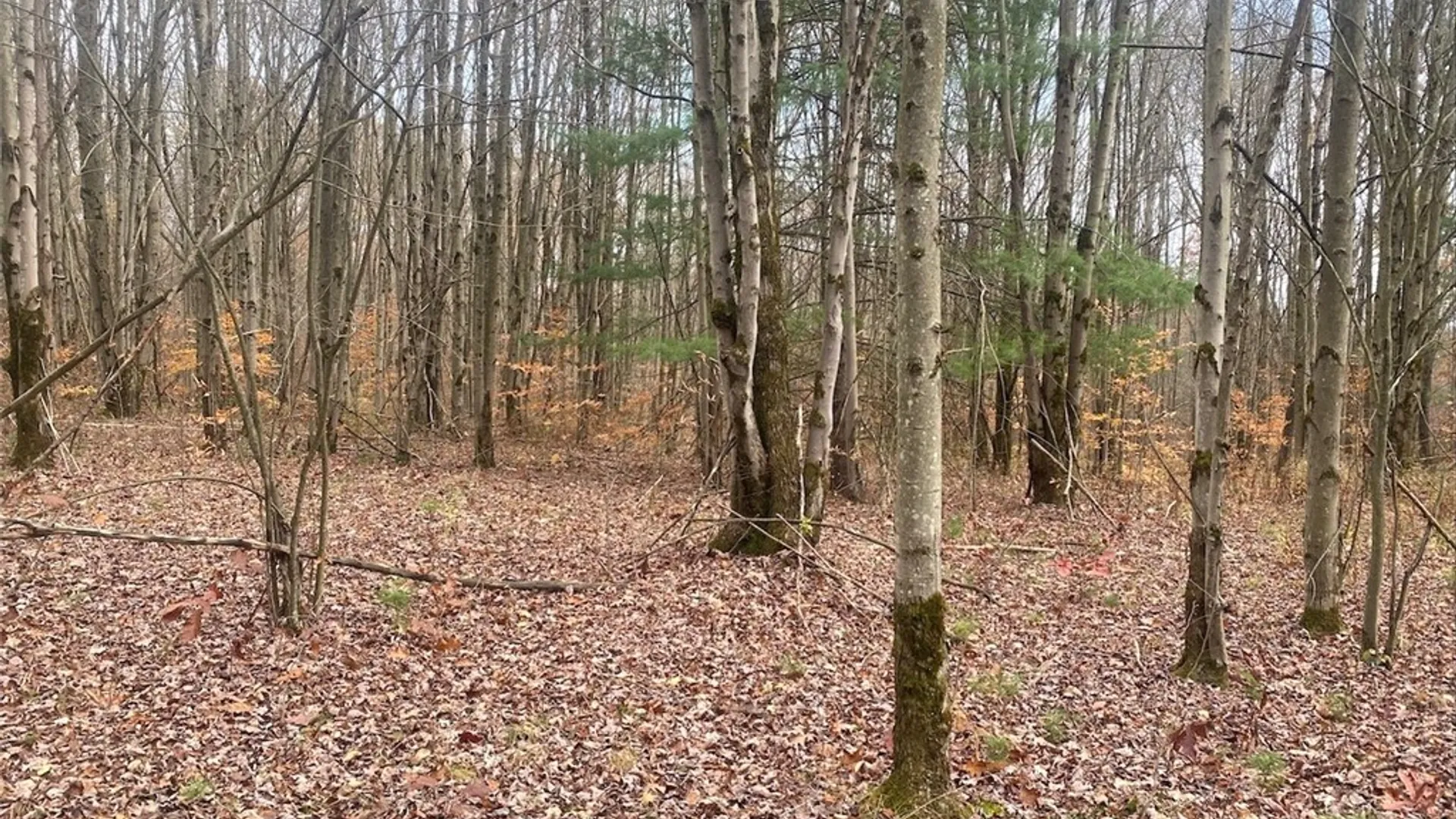 Property at 5601 Pigtail Road, Friendship, NY 14739 27