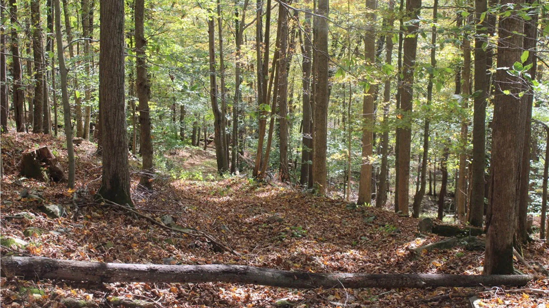 Property at Peakville Road, Hancock, NY 13783 11