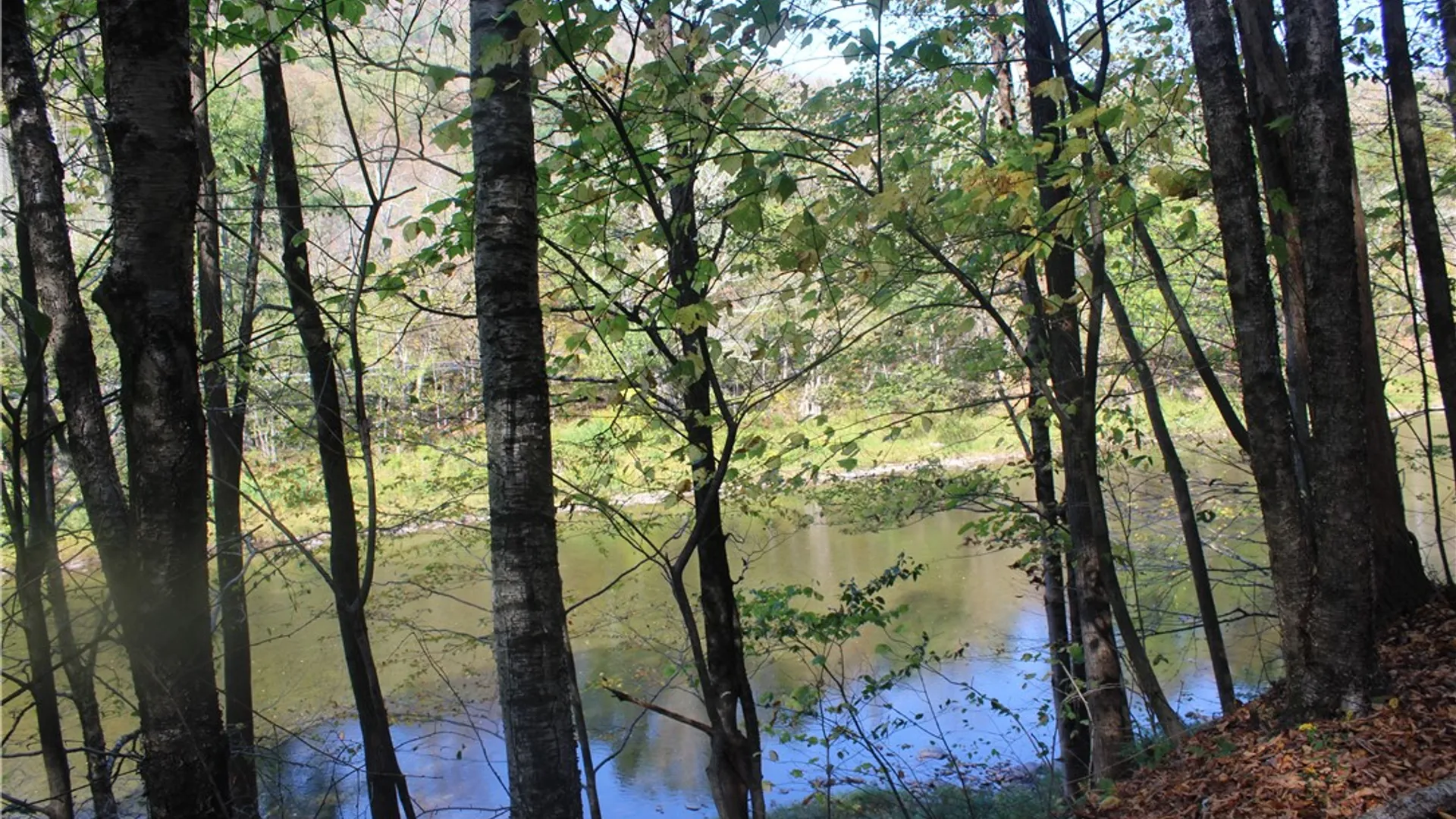 Property at Peakville Road, Hancock, NY 13783 13