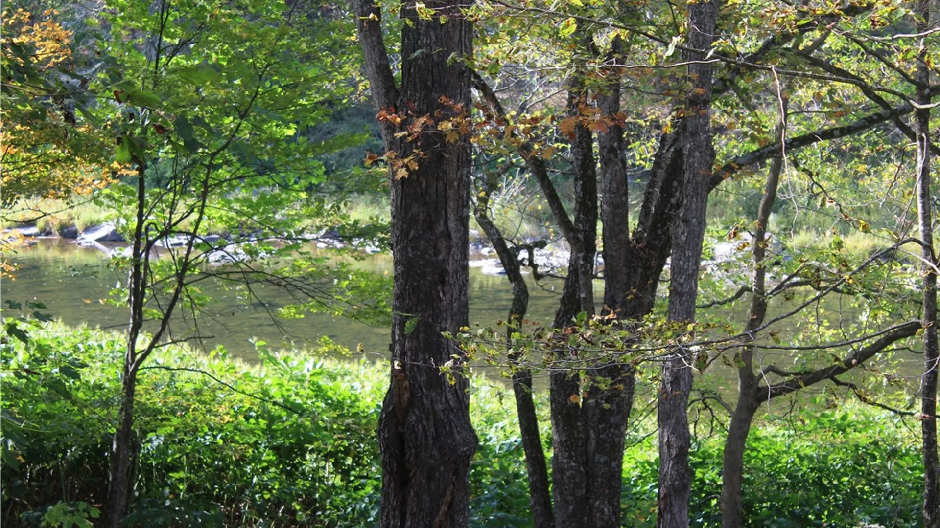 Property at Peakville Road, Hancock, NY 13783 16