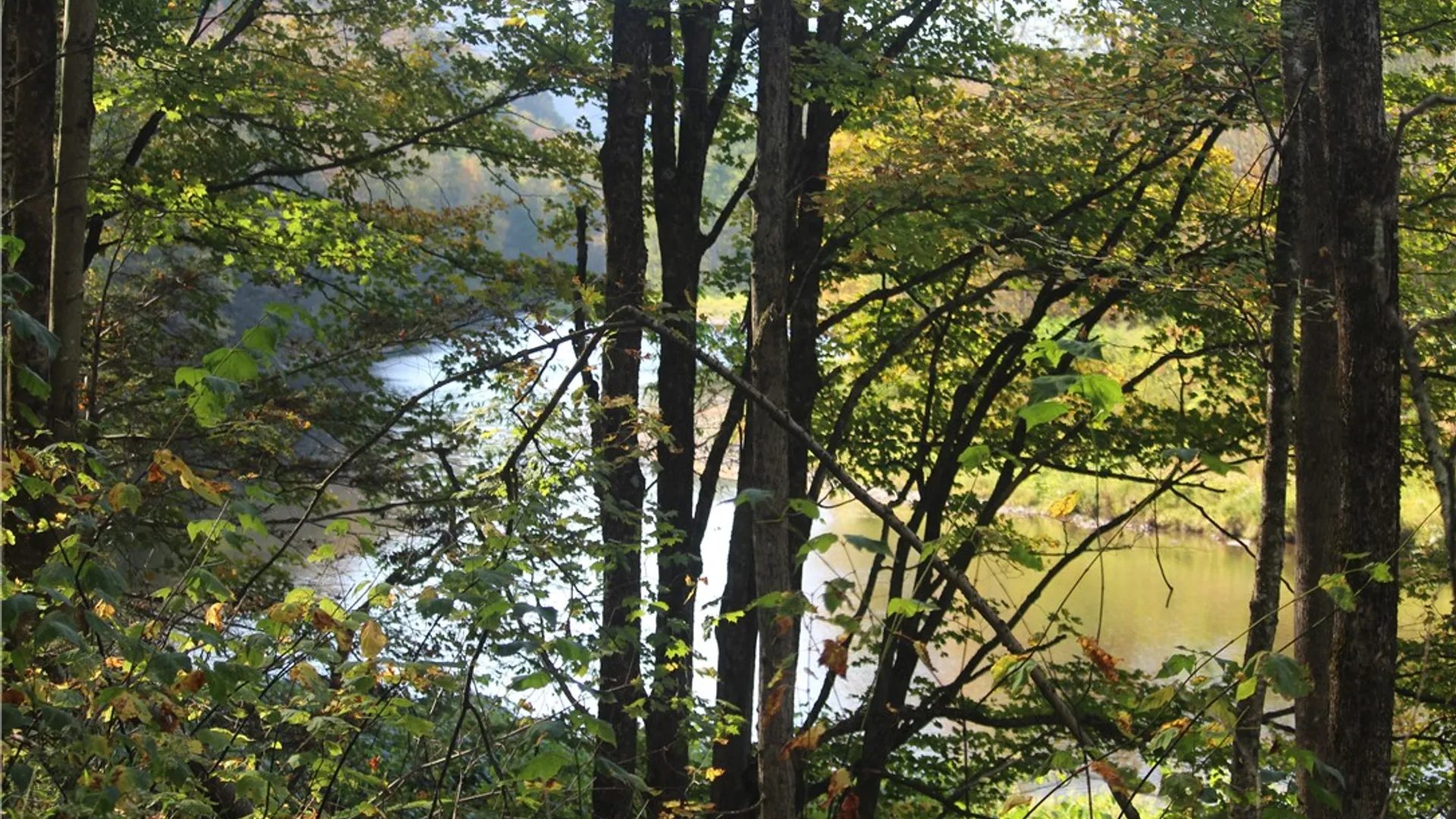 Property at Peakville Road, Hancock, NY 13783 17
