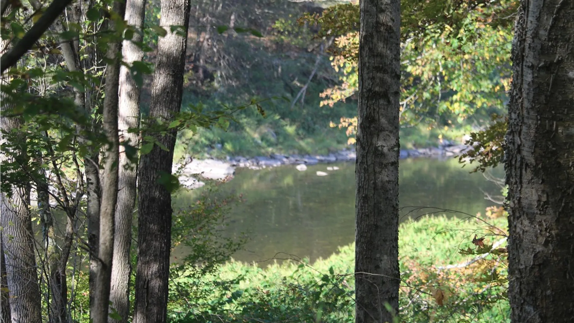 Property at Peakville Road, Hancock, NY 13783 18