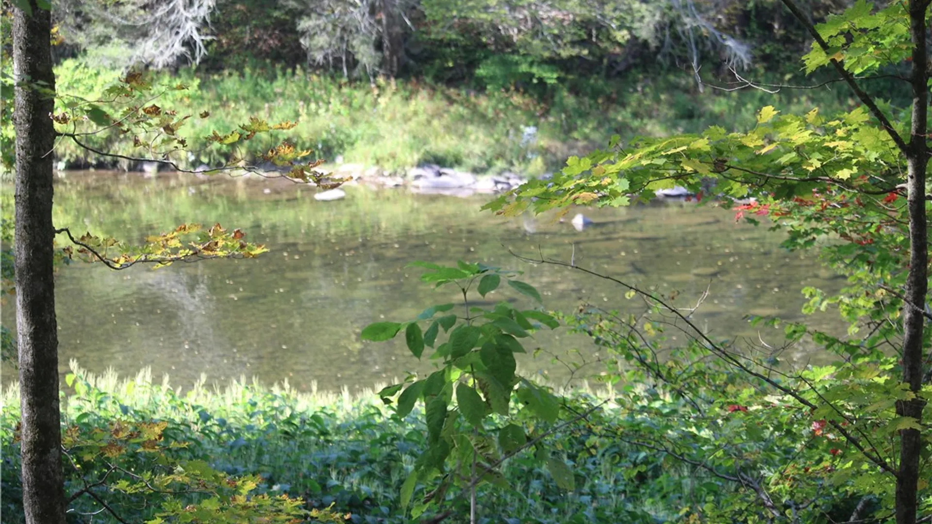 Property at Peakville Road, Hancock, NY 13783 2