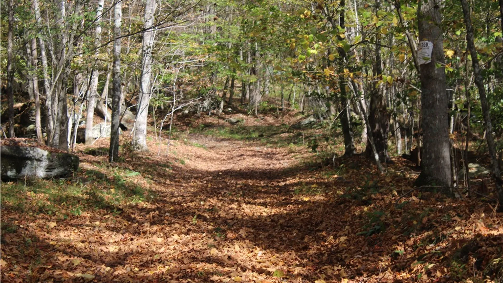 Property at Peakville Road, Hancock, NY 13783 8