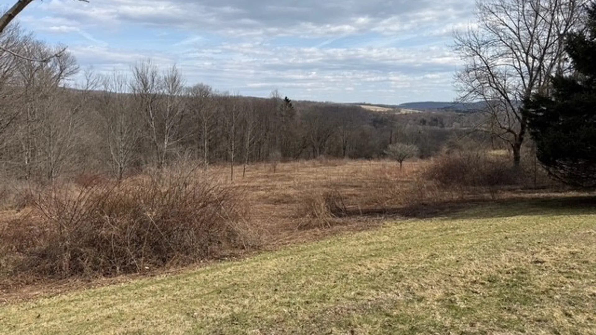 Property at 2359 Sessions Hill Road, Homer, NY 13077 50