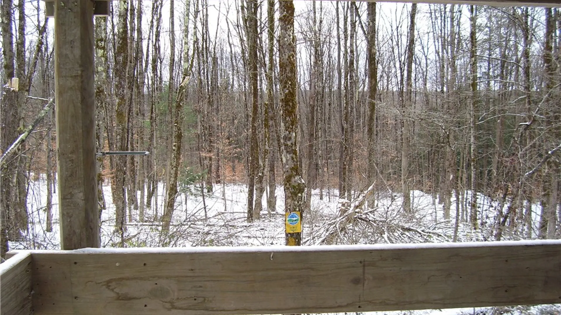 Property at 0 Waldon Road, Mc Donough, NY 13801 3