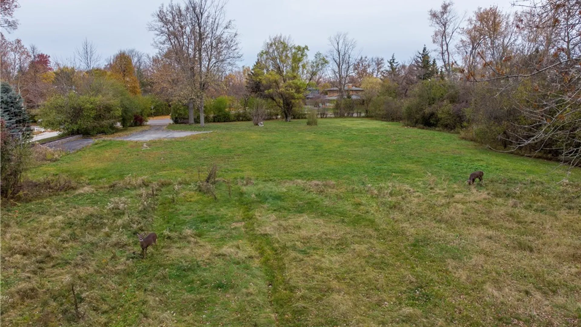 Property at 317 Lebrun Road, Amherst, NY 14226 24