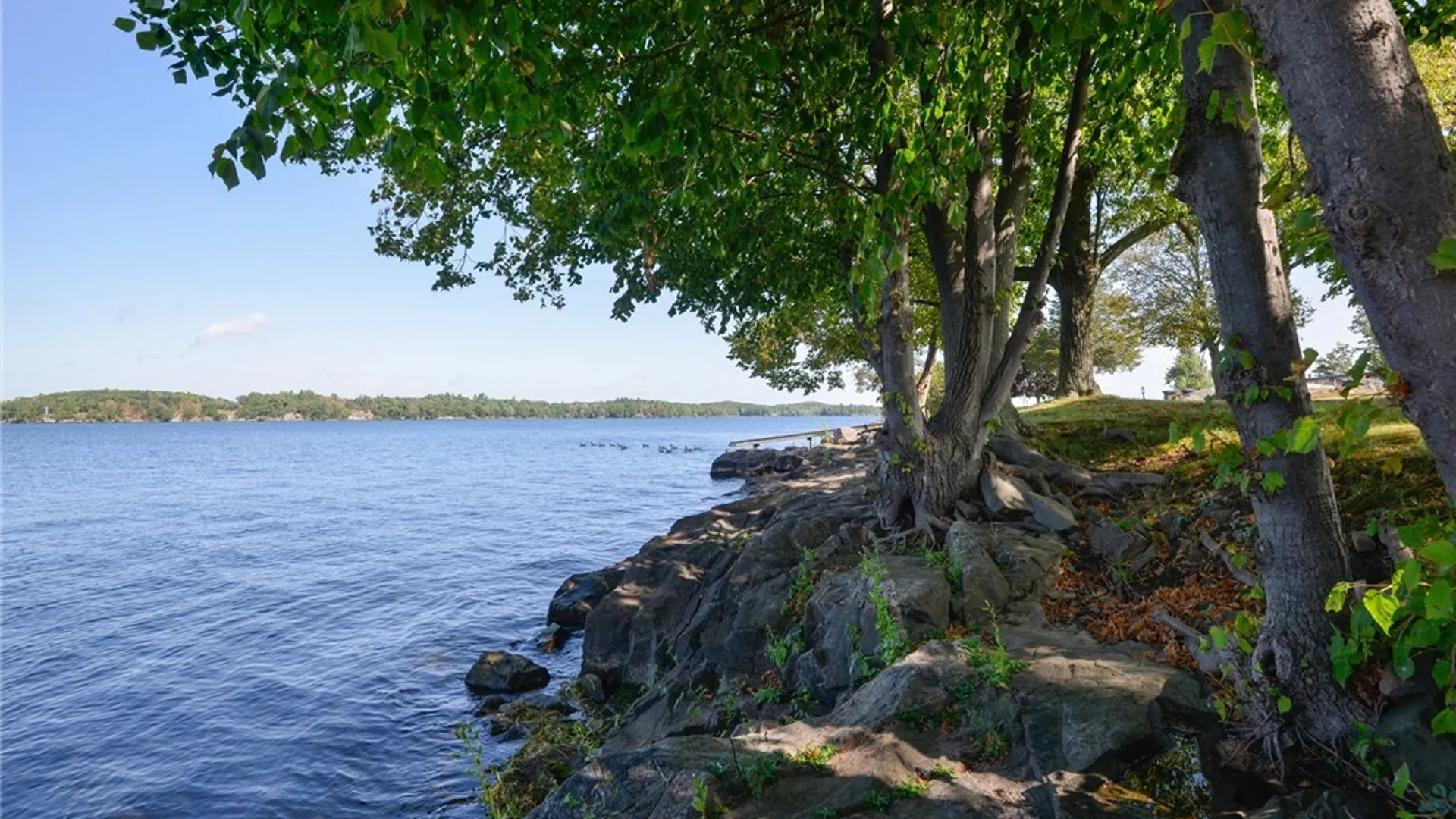 Property at 48794 Little Lehigh, Alexandria, NY 13607 34