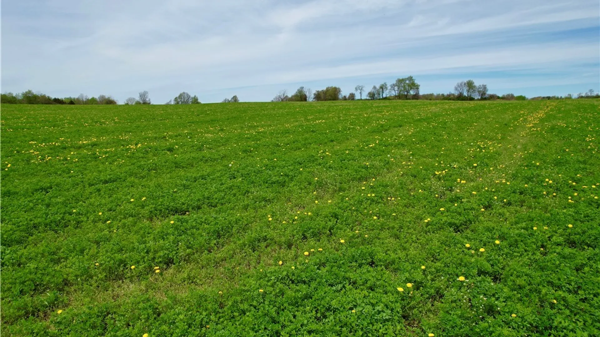 Property at 00 Ballina Road, Cazenovia, NY 13035 11