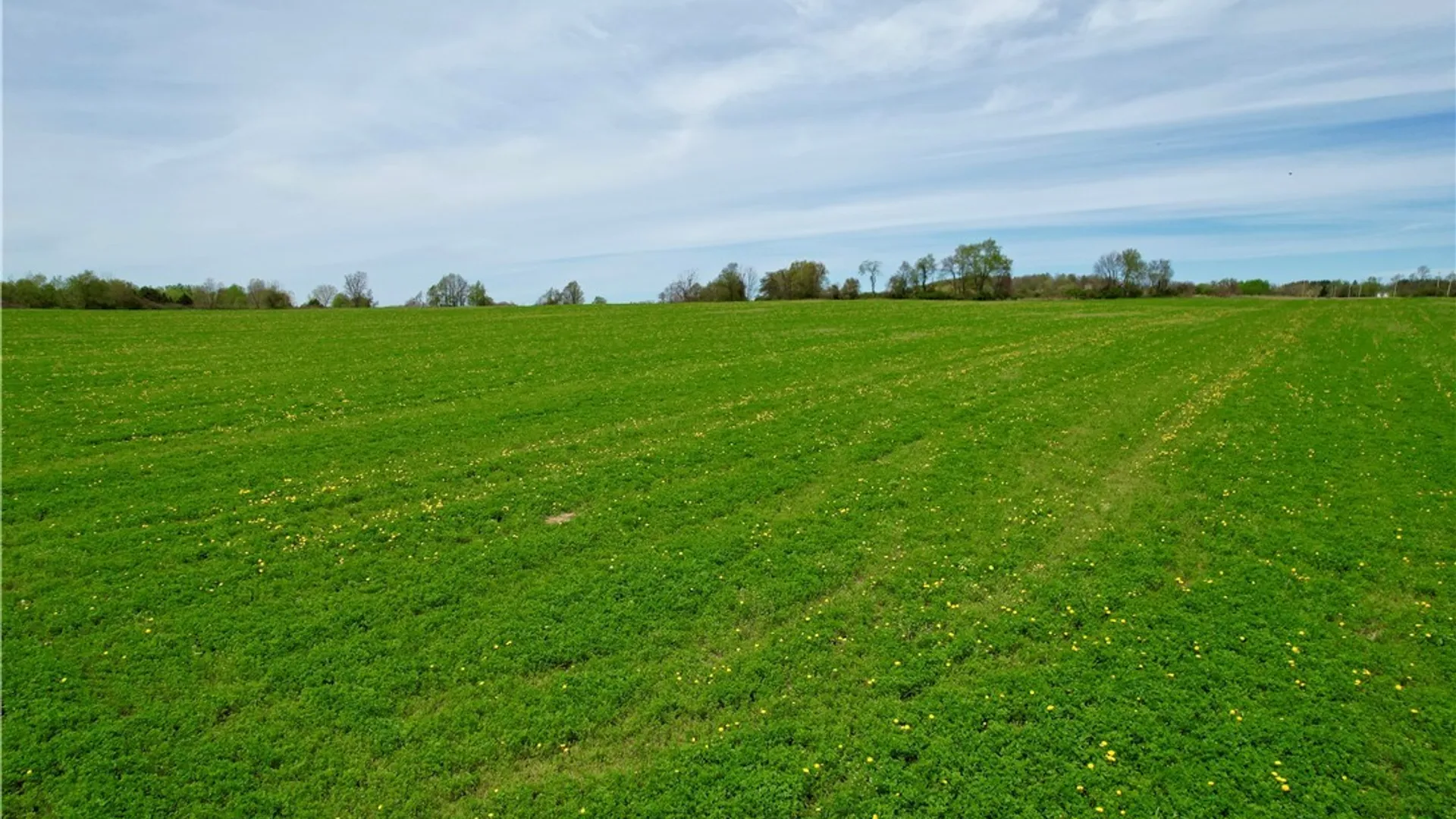 Property at 00 Ballina Road, Cazenovia, NY 13035 12