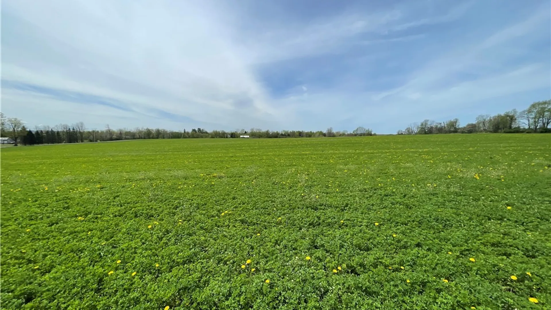 Property at 00 Ballina Road, Cazenovia, NY 13035 13