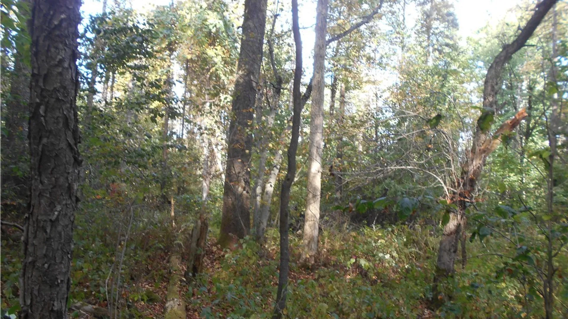 Property at Irish Hill Road, Ellicottville, NY 14731 13