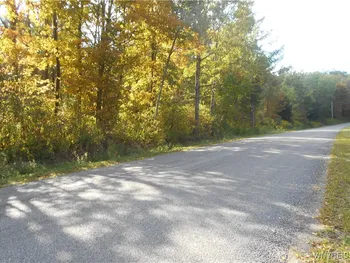Irish Hill Road, Ellicottville, NY 14731