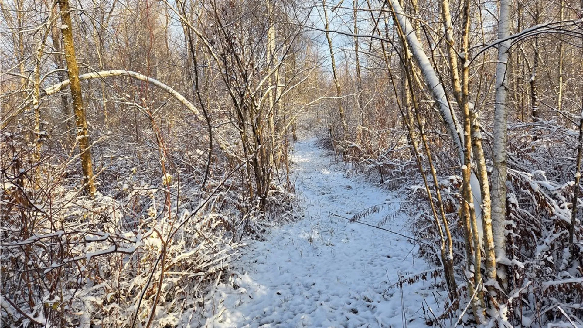 Property at Co Rte 42, Wilna, NY 13619 10