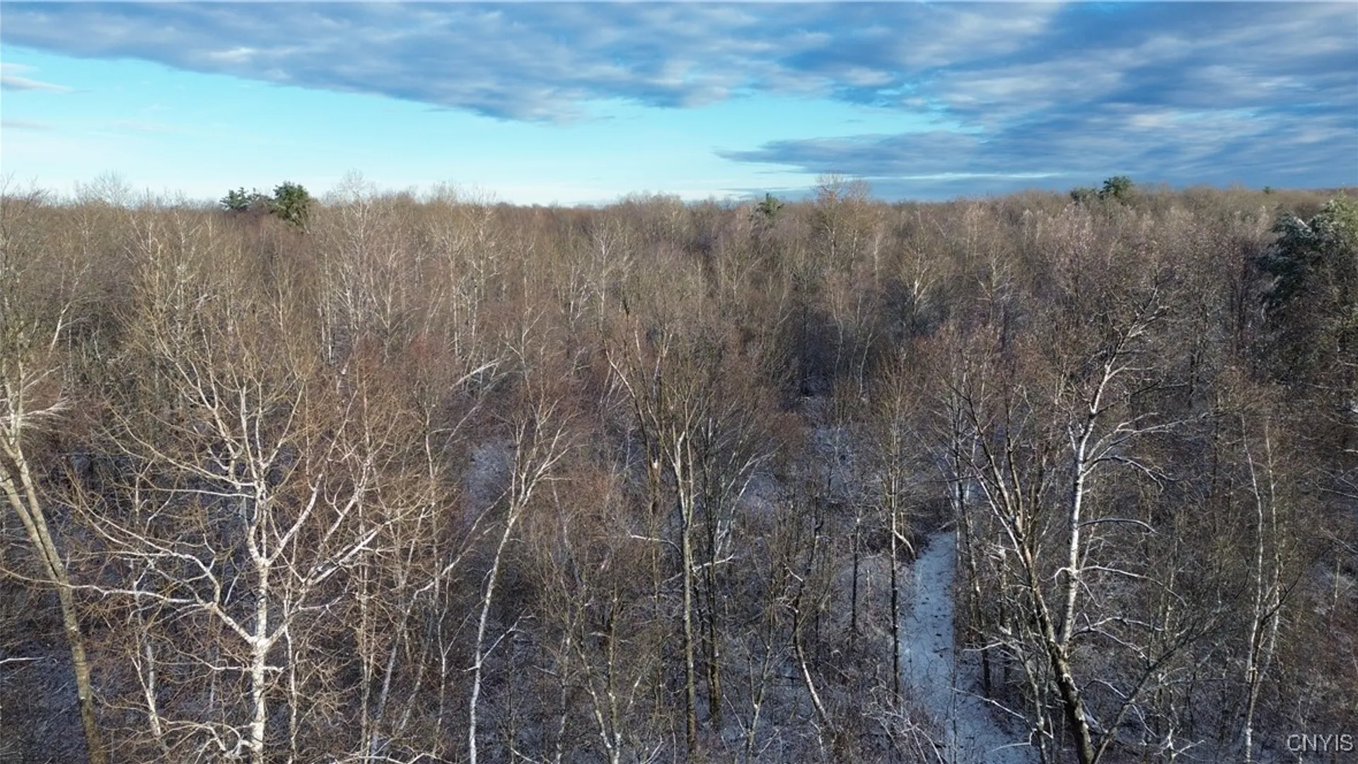 Property at Co Rte 42, Wilna, NY 13619 15