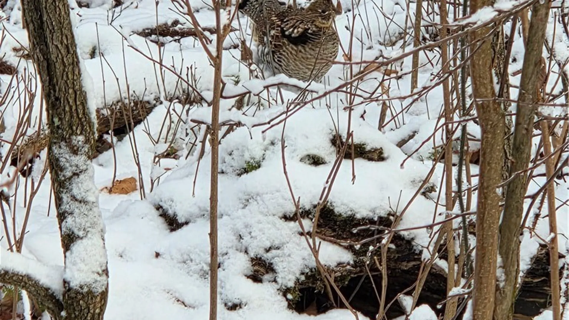 Property at Co Rte 42, Wilna, NY 13619 17