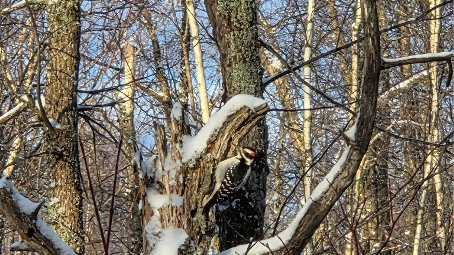 Property at Co Rte 42, Wilna, NY 13619 18