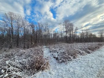 Co Rte 42, Wilna, NY 13619