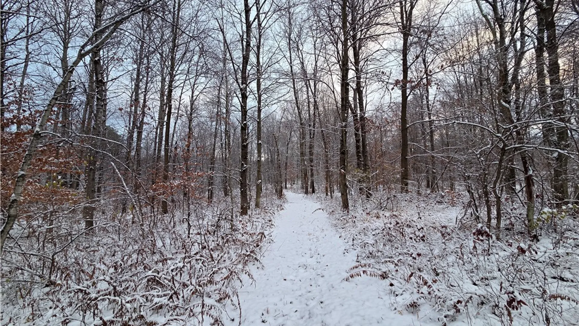 Property at Co Rte 42, Wilna, NY 13619 4