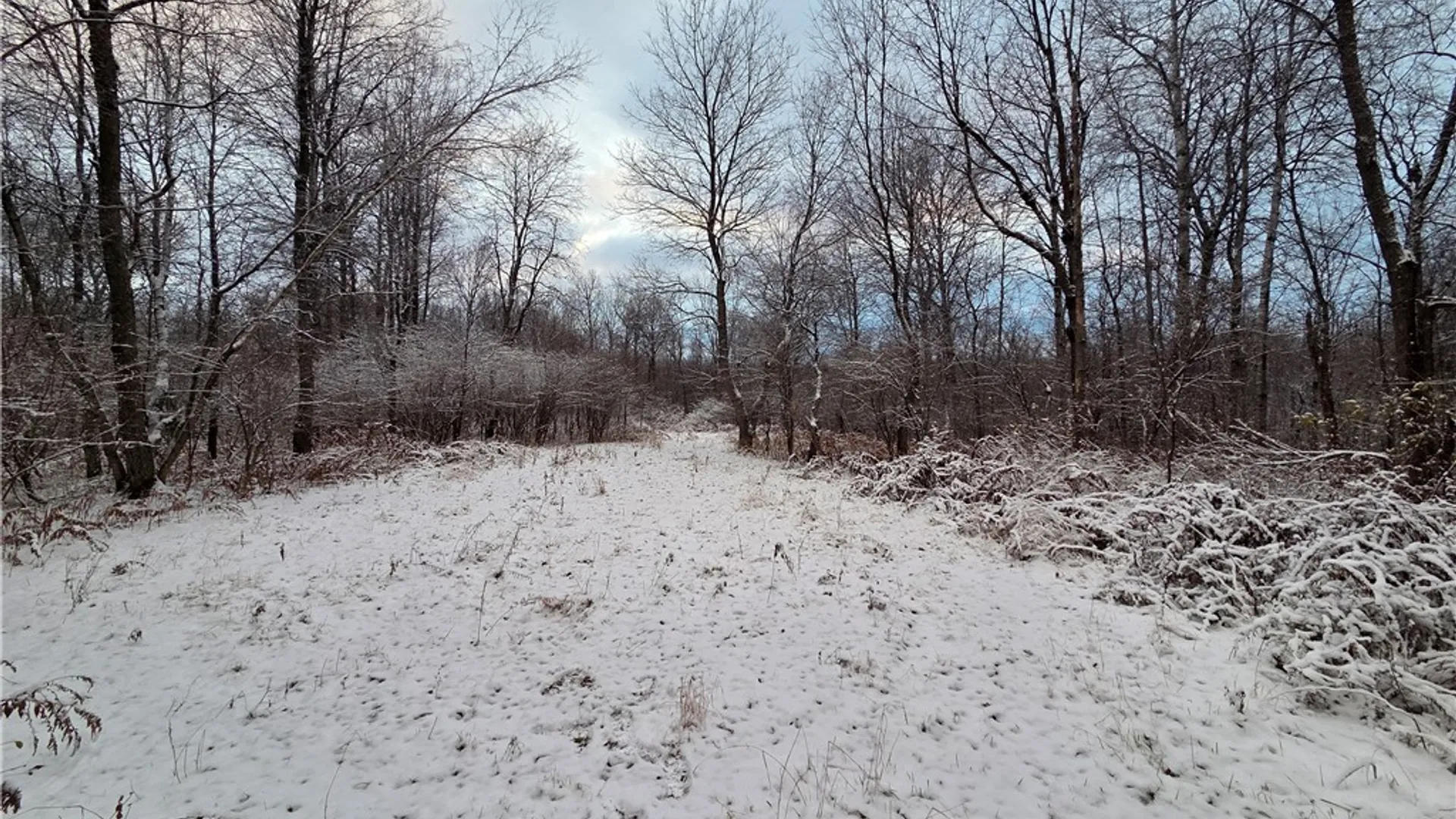 Property at Co Rte 42, Wilna, NY 13619 5