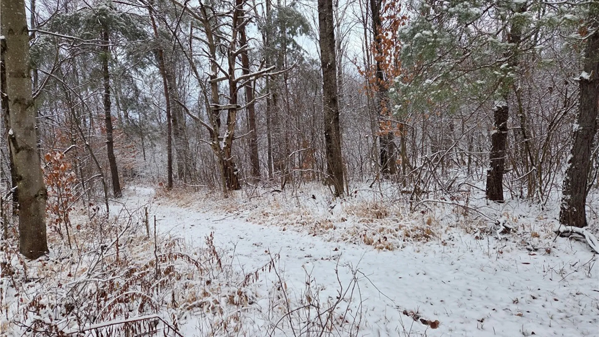 Property at Co Rte 42, Wilna, NY 13619 6