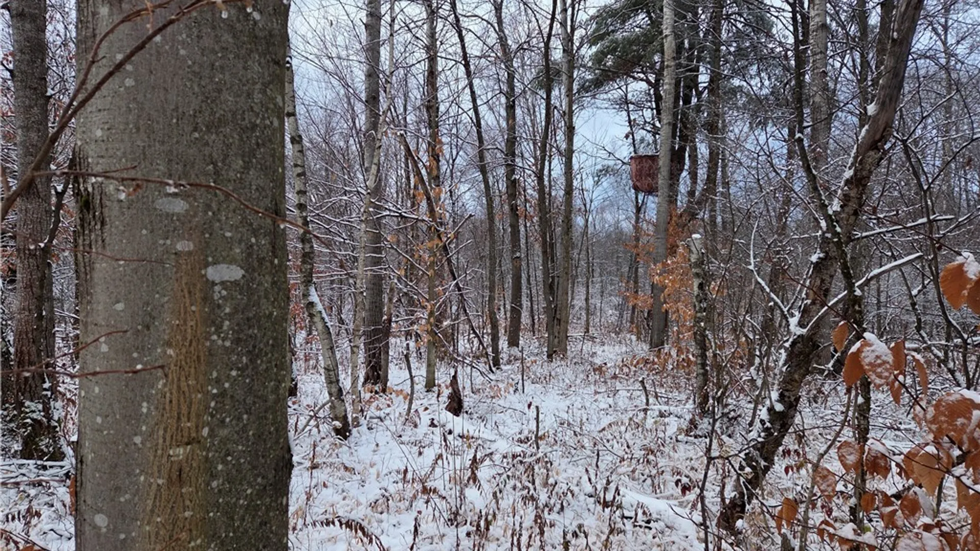 Property at Co Rte 42, Wilna, NY 13619 7