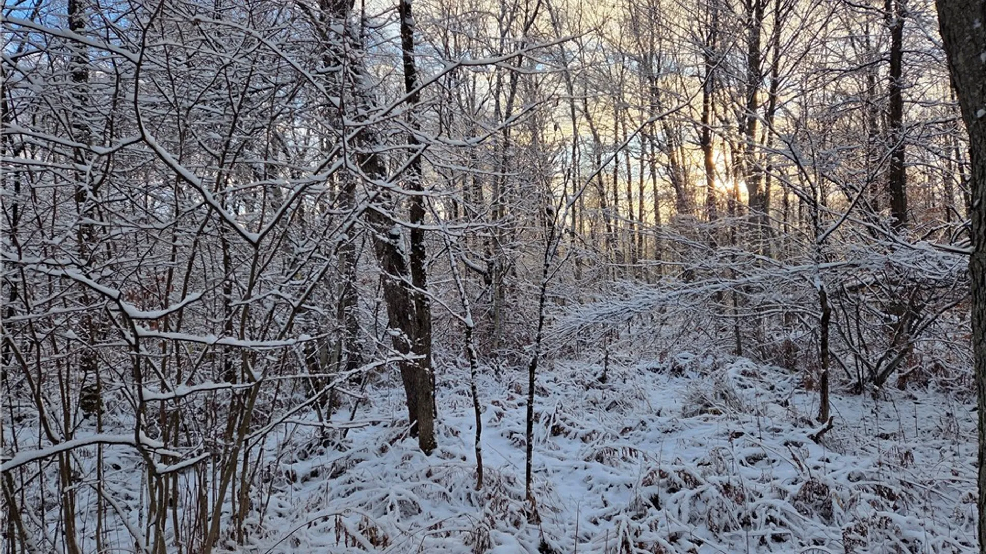 Property at Co Rte 42, Wilna, NY 13619 8