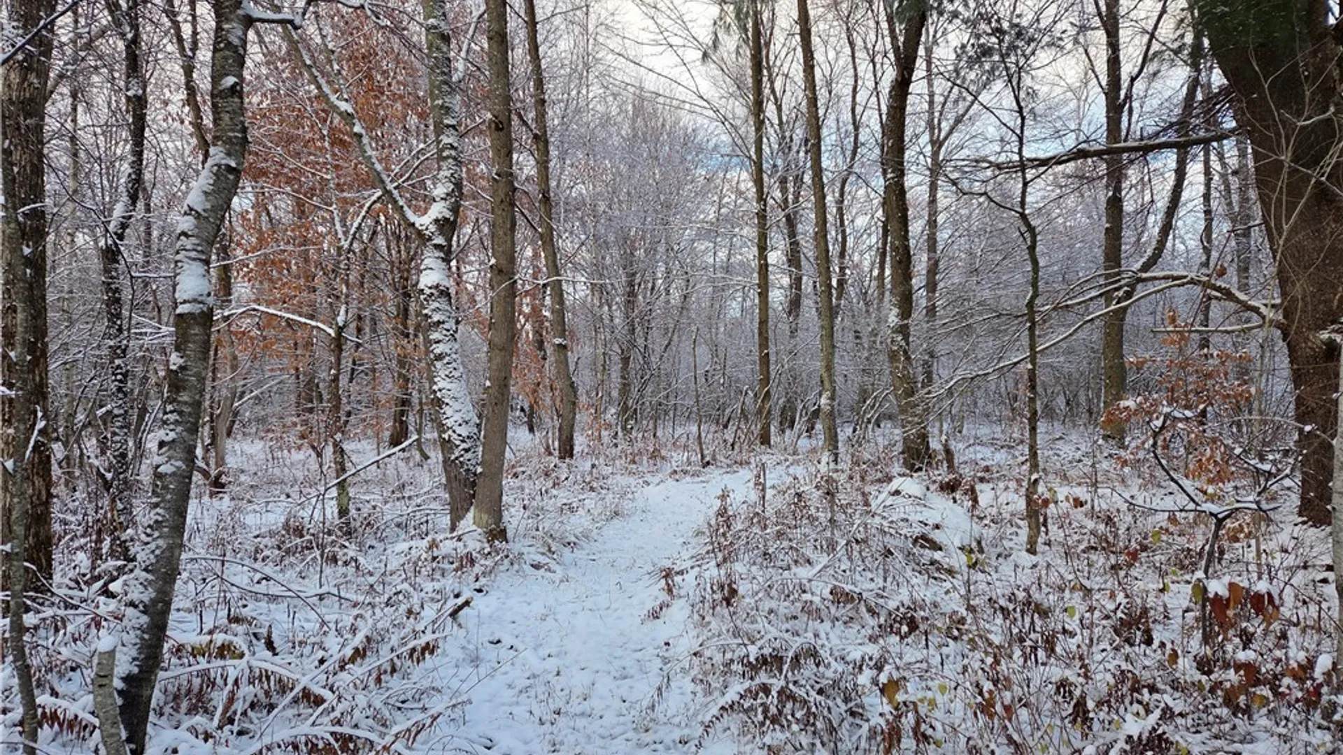 Property at Co Rte 42, Wilna, NY 13619 9