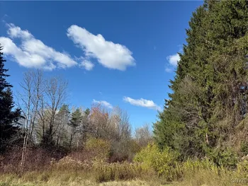 Property at 00 Clark Mills Road, Whitestown, NY 13492