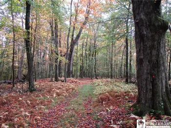 Property at Salt Rising Road, Genesee, NY 14715