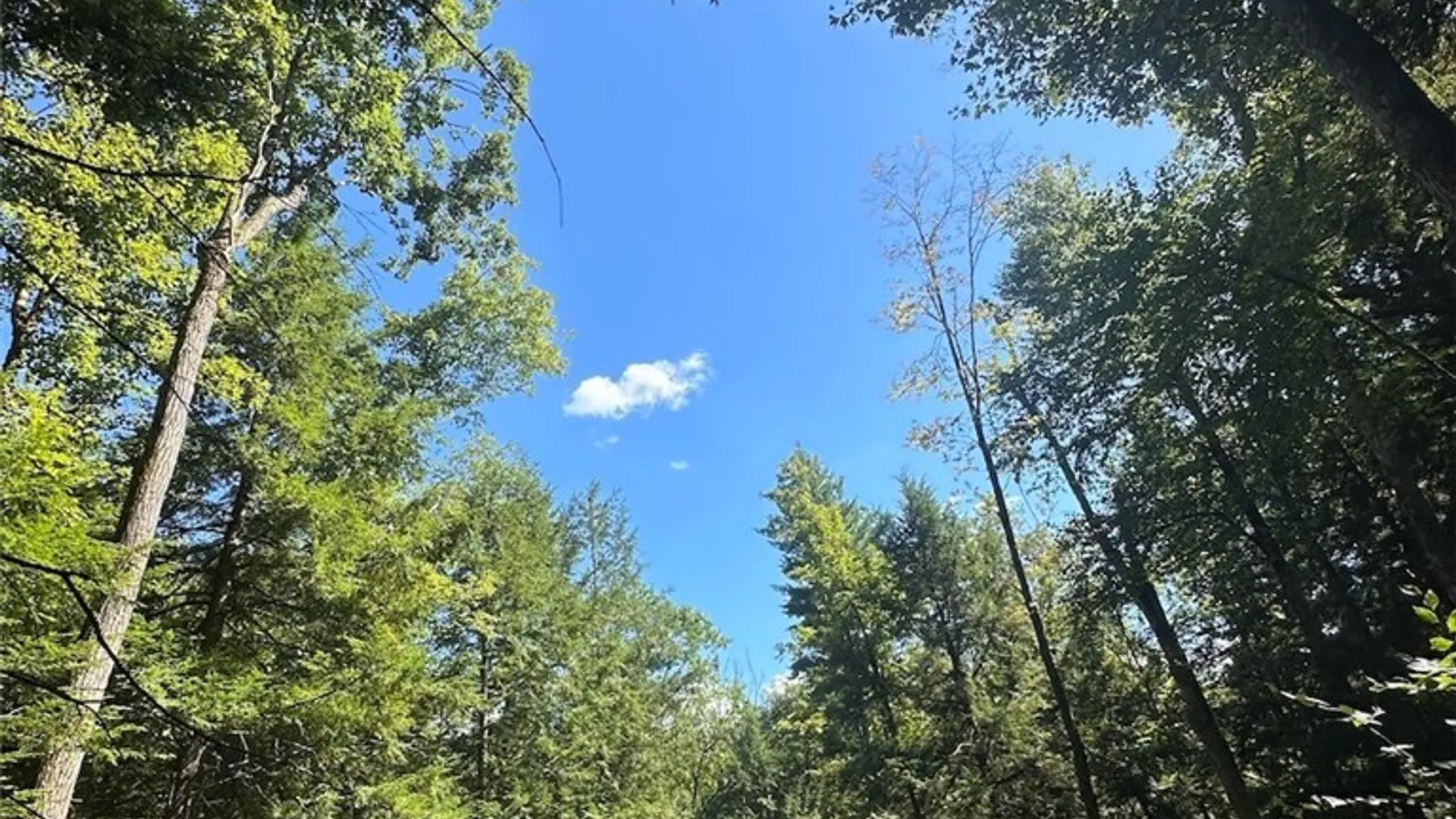 Property at 360 Ives Hill Road, Afton, NY 13730 37