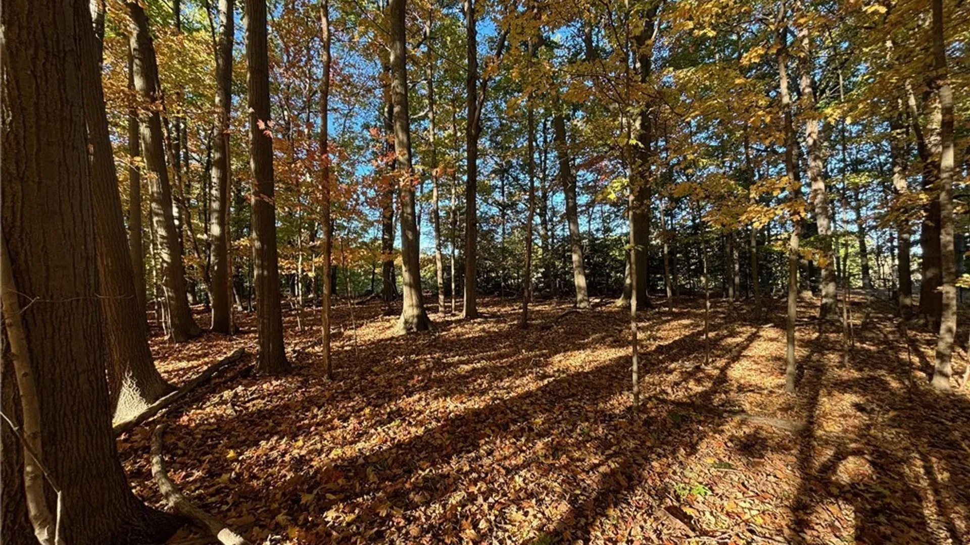 Property at 0 Stainton Drive, Hamburg, NY 14075 2