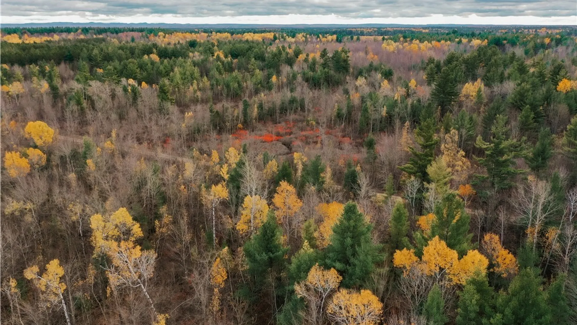 Property at Smith Road, NY 13613 5