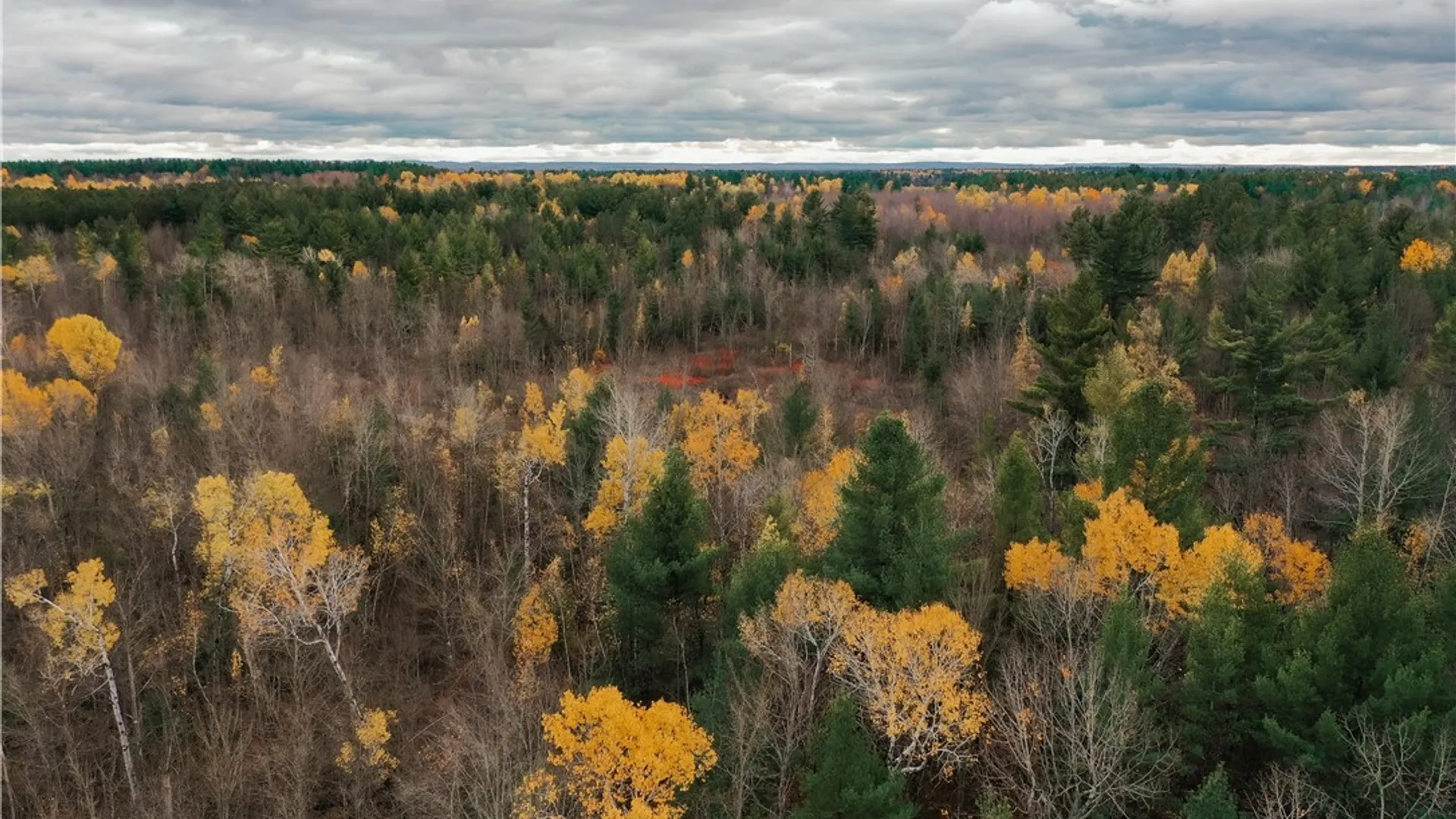 Property at Smith Road, NY 13613 7